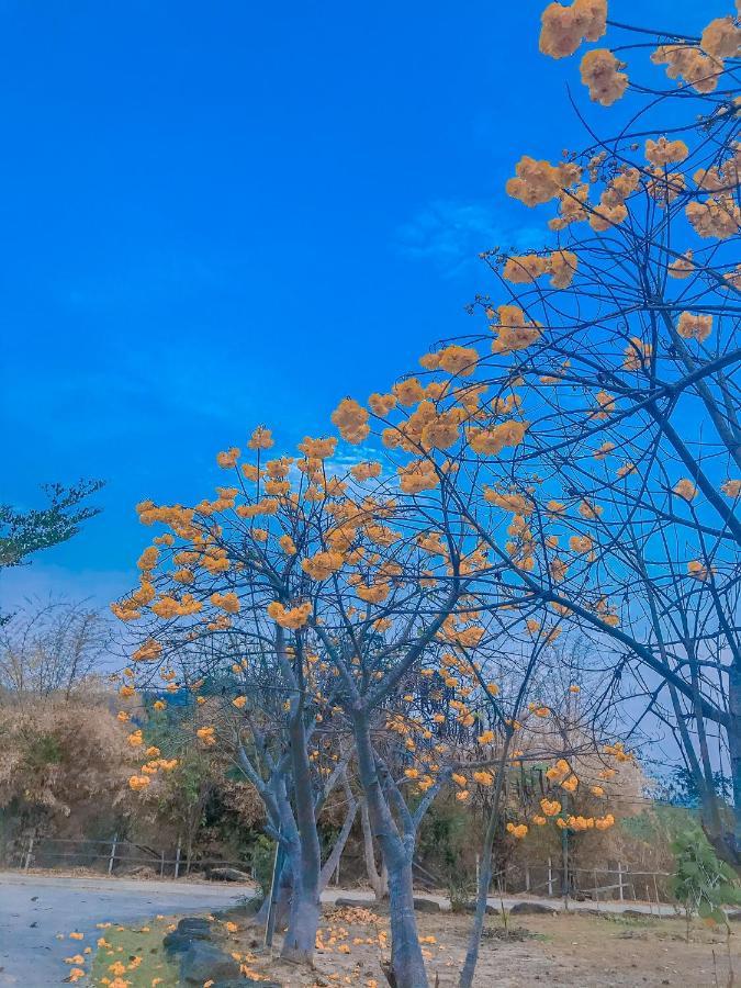 Baan Rai Pray Rung Kaeng Krachan Ban Tha Ling Lom المظهر الخارجي الصورة